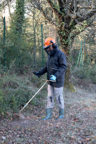 Deltaplus PRILBA FORESTIER3